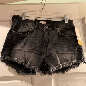 NWOT H&M Distressed Cut-Off Jean Shorts/Hot Pants